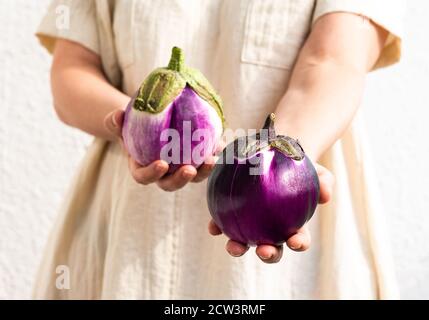 Frau hält lila Runde Aubergine in den Händen, frisches Bio gesundes Gemüse Stockfoto