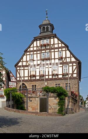 Rathaus, Homberg (Efze), Hessen, Deutschland Stockfoto