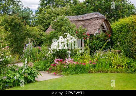 Eine farbenfrohe krautige Grenze und strohgedeckte Hütte im Cottage Garden im RHS Rosemoor, Great Torrington, Devon, England, Großbritannien Stockfoto
