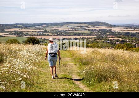 Frau zu Fuß auf dem Ridgeway National Fernwanderweg Bei Brush Hill über Princes Risborough The Chilterns Buckinghamshire England Stockfoto