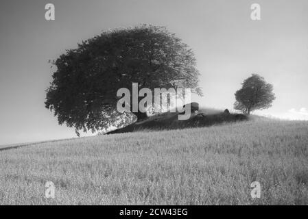 Gefangen in Dänemark, prähistorisches Steinzeitgrab Stockfoto