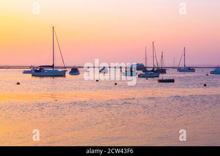 Boote an der Küste von West Mersea, Essex, Großbritannien Stockfoto