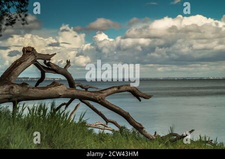 Gefangen in Dänemark Stockfoto