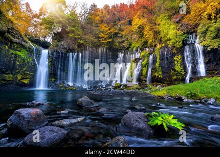 Shiraito Wasserfall im Herbst, Japan. Stockfoto