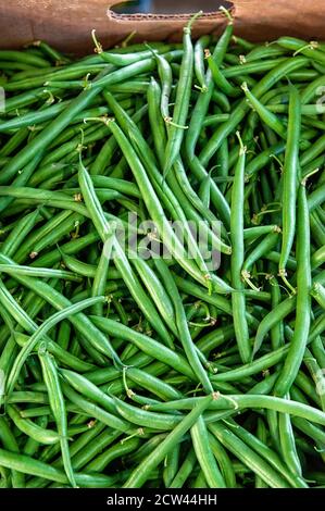 Horizontales Foto eines Stapels frisch gepflückter grüner Schnur-Bohnen auf dem Bauernmarkt. Anlagenhintergrund Stockfoto