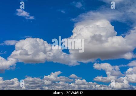 Sommer Cumulus Wolken und blauer Himmel. Stockfoto