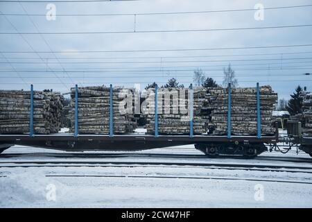 Der Zug trägt im Winter Birkenholz. Eisenbahnwagen mit Birkenstämmen. Brennholz vorbereiten. Stockfoto