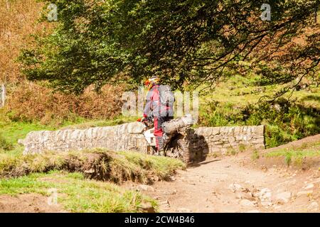 Off-Road-Motorradfahrer mit einer grünen Spur Weg überqueren die Steinbrücke an den drei Shires Kopf in der Spitze District National Park England Großbritannien Stockfoto