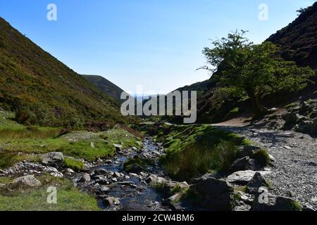 Stream läuft durch Carding Mill Valley, Church Stretton, Shropshire, Großbritannien Stockfoto