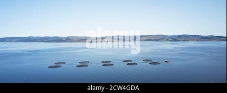 Fischfarm Lachs runde Netze in natürlicher Umgebung Loch Fyne Arygll und Bute Scotland Stockfoto