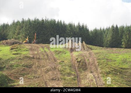 Entwaldung im Elan River Valley, in der Nähe von Builth Wells, Mid Wales Stockfoto