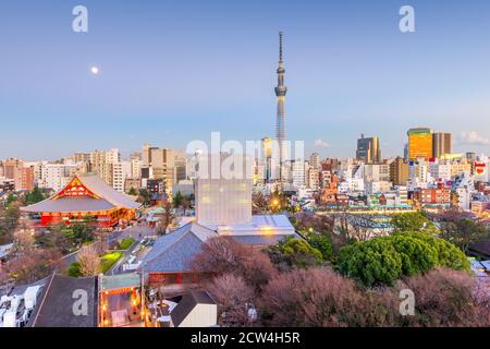 Tokio, Japan Skyline in Asakusa in der Abenddämmerung. Stockfoto