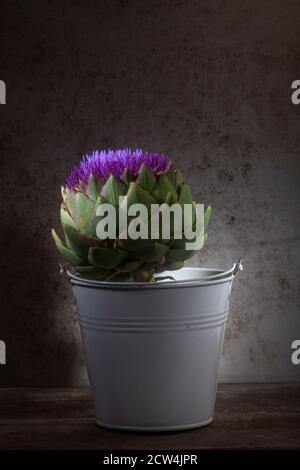 Foto von Artischocke Blume in weiße Zinn Vase Auf Grunge Hintergrund Stockfoto