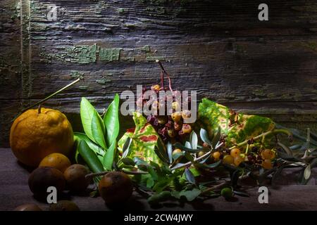 Stillleben Foto von verfallenen Früchten und frischen Blättern Stockfoto