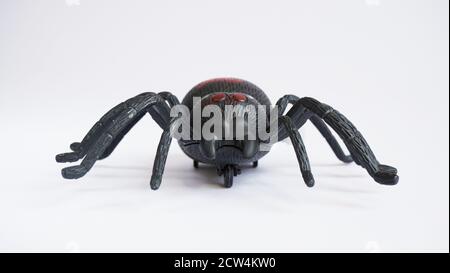 Schwarzes Uhrwerk Kunststoff Spielzeug Spinne auf weißem Hintergrund, Nahaufnahme. Oncept der Feier des Tages der Toten, Halloween. Stockfoto