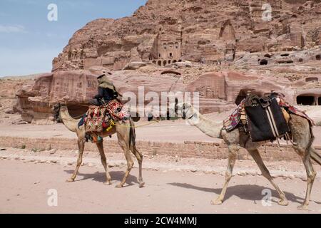 Jordanien, Petra (UNESCO) Kamel vor den Königsgräbern. Stockfoto