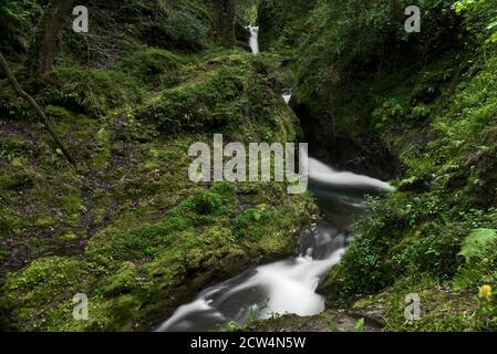 Kleiner schmaler Wasserfall im Zauberwald. Winziger Wasserfall. Langzeitbelichtung des Poulanass Wasserfalls, Wicklow Way, Derrybawn, Co. Wicklow, Irland Stockfoto