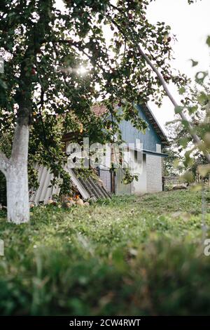 Kleine Holzscheune im Grünen. Apfelbäume Garten. Typische Ukraine Scheune, Agrotourismus Konzept Stockfoto