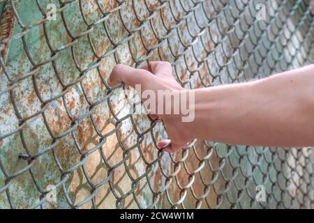 Die Hand des Mannes am Kettengliedzaun zeigt, wie sehr er durch die andere Seite gelangen will. Konzept der Freiheit Stockfoto