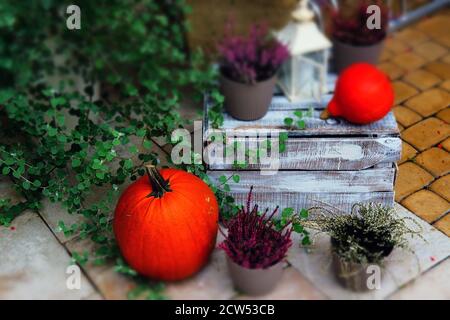 Herbstdekoration am Eingang eines Hauses; mit Kürbissen, Laterne und Heidekraut Stockfoto