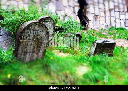 Alte Matzewa auf einem alten jüdischen Friedhof in Kazimierz Dolny, Polen Stockfoto