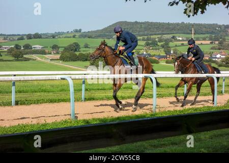 Manor House Pferderennen Stallungen von Michael Owen und seiner Frau Louise, stehen im Herzen der Cheshire Landschaft auf dem Sandstone Trail Stockfoto