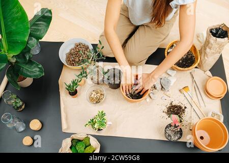 Draufsicht auf eine Frau im Wohnzimmer, die Erde in einem Topf für die Wiederbepflanzung vorbereitet Stockfoto