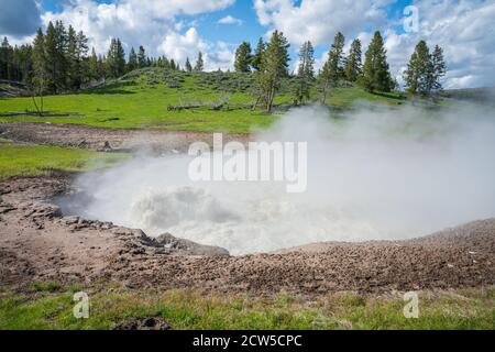 Wandern auf dem Schlammvulkan Trail, yellowstone Nationalpark, wyoming, usa Stockfoto