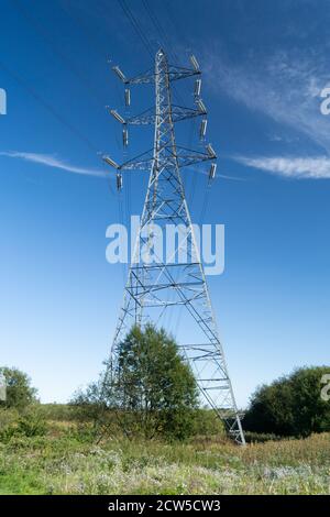 Strompylon mit Netzstromleitungen auf dem Land, England Großbritannien Stockfoto