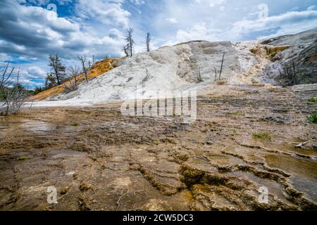 Mammoth Hot Springs im yellowstone Nationalpark, wyoming, usa Stockfoto