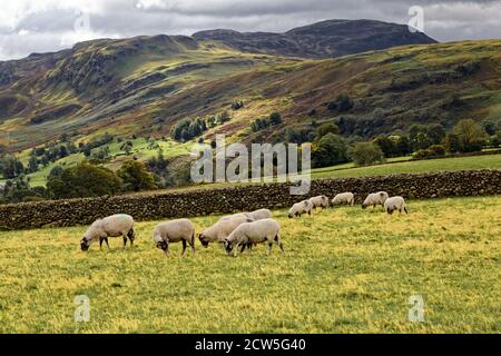 Blick auf die Berge und die Landschaft rund um Castlerigg Stone Circle, Keswick, Lake District Stockfoto