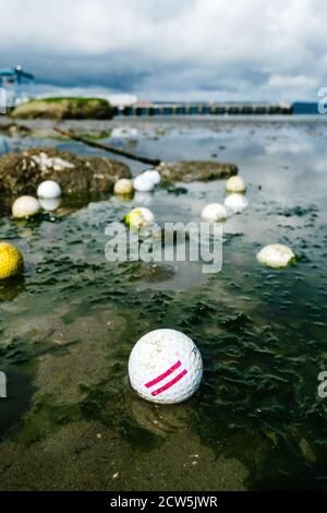 Ausrangierte Golfbälle an einem Strand in Puget Sound Stockfoto