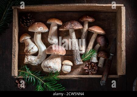 Essbare und wilde Pilze gesammelt im Herbst auf Holztisch Stockfoto