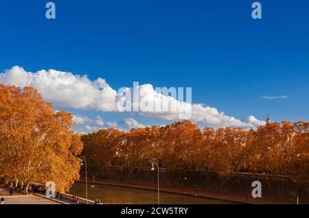 Herbst und Laub in Rom. Wunderschöne Herbstblätter entlang des Tiber im historischen Zentrum der Stadt (mit Kopieplatz oben) Stockfoto