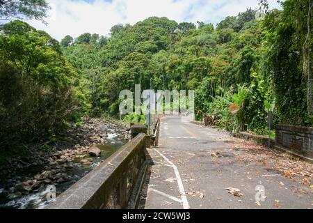 Hakalau Bay, Homakua Coast, Hawaii Stockfoto