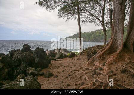 Laupahoehoe Point Park, Homakua Coast, Hawaii Stockfoto