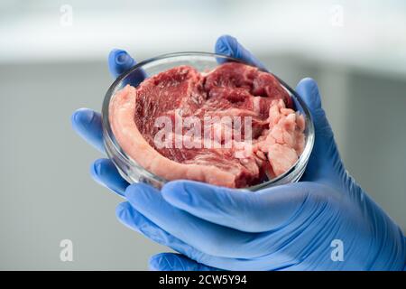 Handschuhen von zeitgenössischen wissenschaftlichen Forscher halten Petrischale mit Fleisch Stockfoto