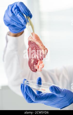 Handschuhen von zeitgenössischen Forscher halten Probe von rohem Gemüse Fleisch Stockfoto