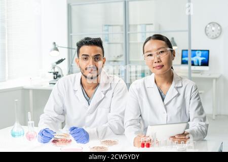 Zwei junge interkulturelle Kliniker in Whitecoats, die online Daten durchschauen Stockfoto