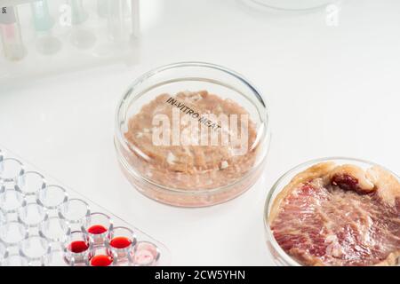 Kleines Stück rohes in-vitro-Fleisch und das Tier Ursprung steht auf dem Tisch Stockfoto