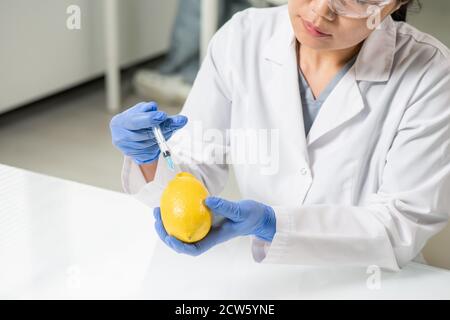 Handschuhen der zeitgenössischen jungen Wissenschaftlerin in der Whitecoat-Injektion Zitrone Stockfoto