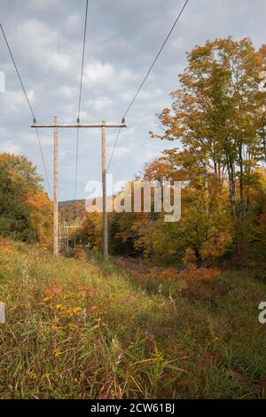 Hydrokorridor durch eine bewaldete Fläche mit Herbstfarben Stockfoto