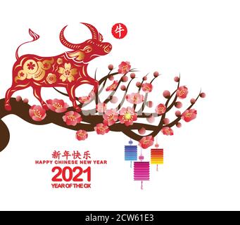 Chinesische Neujahrs Ox Dekoration für Frühlingsfest (Chinesische Übersetzung Happy chinese New year 2021, year of OX) Stock Vektor