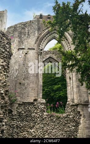 Glastonbury Abbey Ruinen, gotischen Stil Doppelbögen in den Nordwänden des Hauptabschnitts der alten Kirche. Blauer Himmel. Keine Personen. Speicherplatz kopieren. Stockfoto