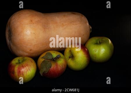 Horizontales Kunstfoto von Kürbis und reifen Herbstäpfeln aus der Nähe Auf schwarzem Hintergrund Stockfoto