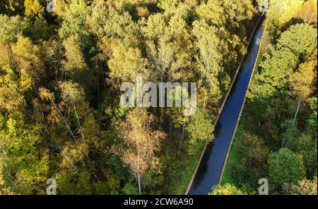 Luftaufnahme von dichtem Wald im Herbst mit glitzernder Straße Nach dem Regen Stockfoto