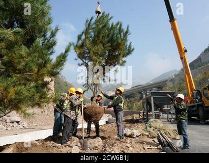 Peking, China. September 2020. Das am 27. September 2020 aufgenommene Foto zeigt Arbeiter, die für die Olympischen Winterspiele 2022 in Peking im Bezirk Yanqing, Peking, der Hauptstadt Chinas, Bäume Pflanzen. Quelle: Zhang Chenlin/Xinhua/Alamy Live News Stockfoto