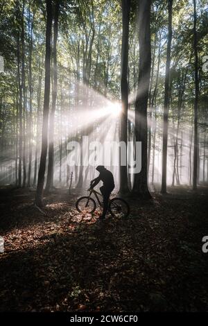 Mann auf dem Fahrrad im Wald im Herbst bei Sonnenaufgang. Bunte Landschaft mit sportlichen Männern auf dem Mountainbike, Sonnenstrahlen, grünen Bäumen. Stockfoto