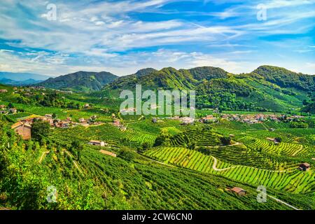 Prosecco Hills, Weinberge Panorama-Landschaft. Unesco-Weltkulturerbe. Valdobbiadene, Treviso, Venetien, Italien, Europa. Stockfoto