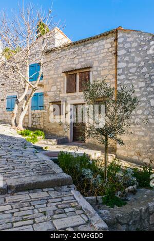 Alte traditionelle Steinhäuser mit Olivenbäumen und Fensterläden in Rovinj, Kroatien Stockfoto